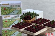 十大好梦高速赋能产业升级：一条“杨梅路”的致富密码